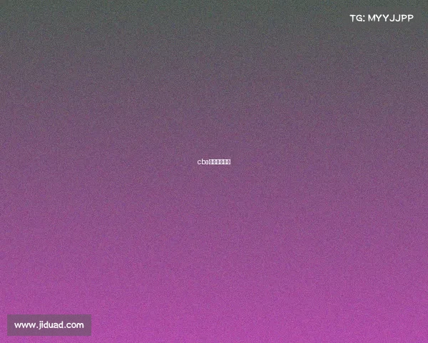 cba今日赛事安排