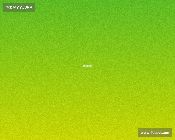 亚足联杯赛程比分